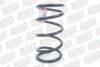 BSG BSG 30-305-003 Coil Spring